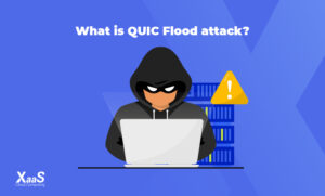 حمله QUIC Flood چیست؟