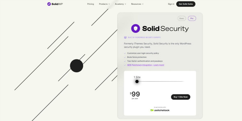 افزونه امنیتی Solid Security