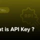 کلید API چیست