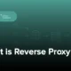 پروکسی معکوس چیست