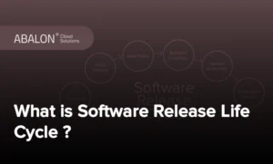 چرخه زندگی انتشار نرم‌افزار چیست؟