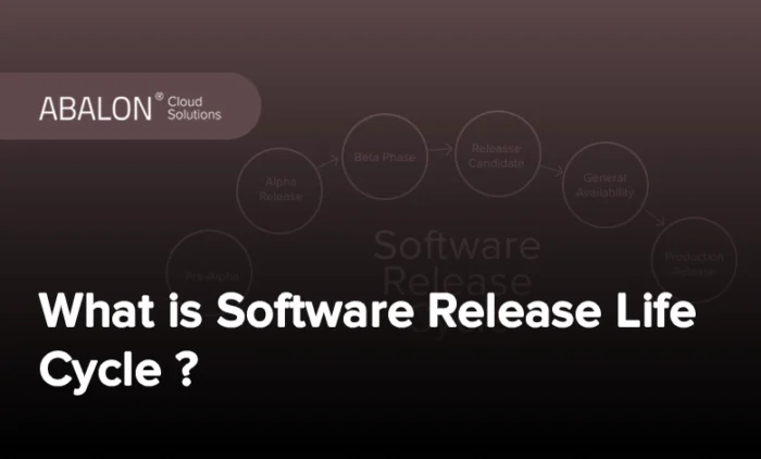 چرخه زندگی انتشار نرم‌افزار چیست؟