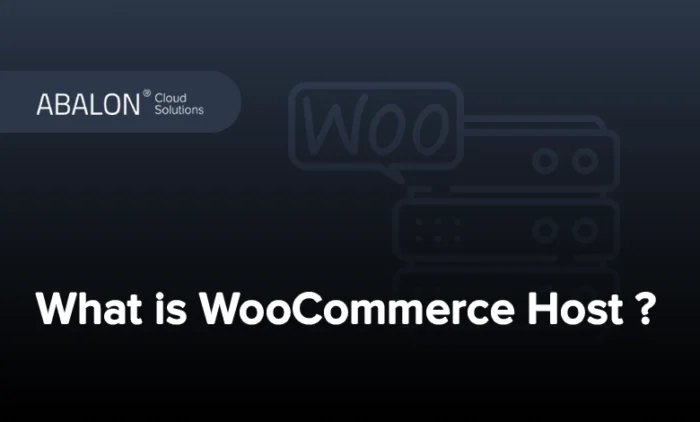 هاست ووکامرس چیست