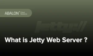 وب سرور جتی چیست؟