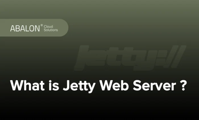 وب سرور جتی چیست؟